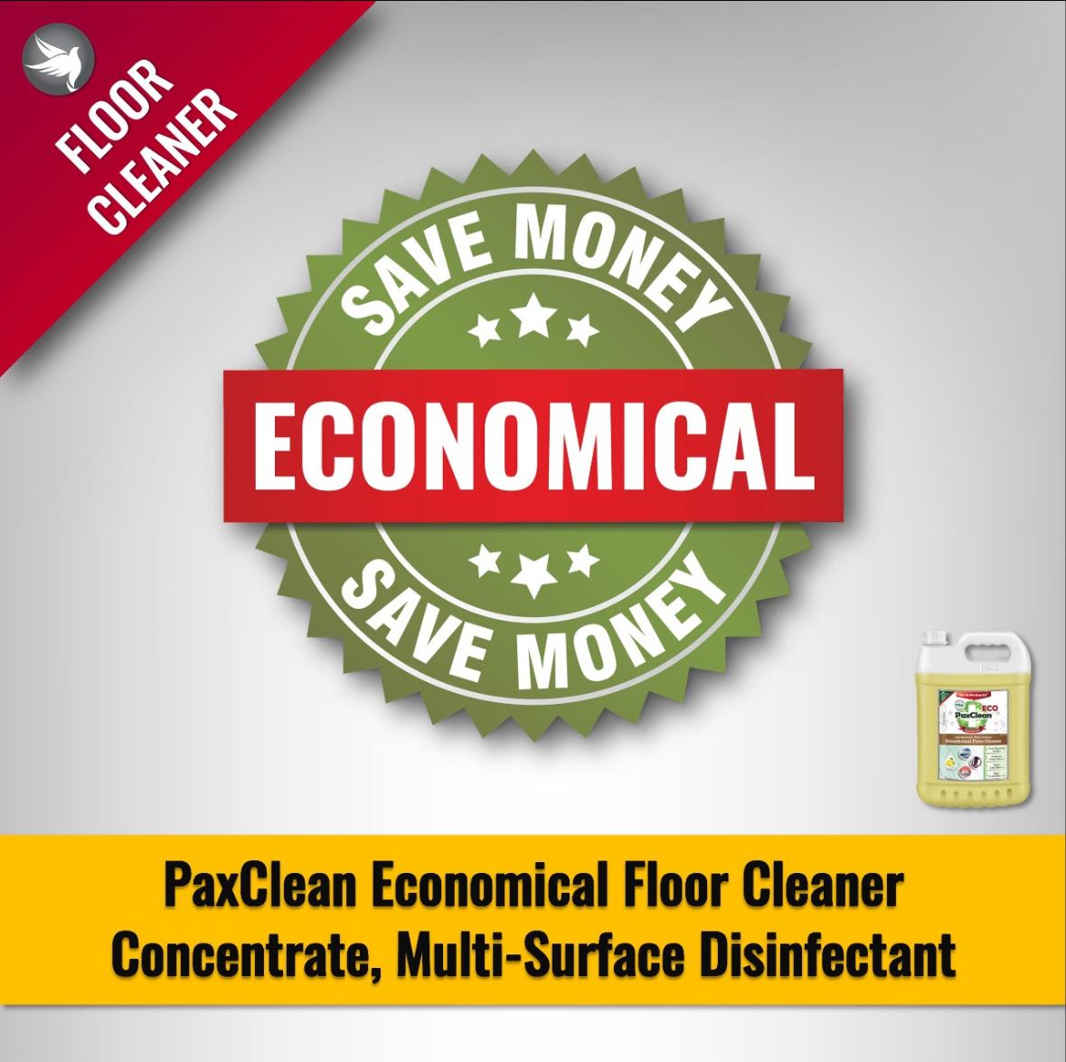 PaxClean Economical Disinfectant Floor & All Surface Cleaner - Image 3