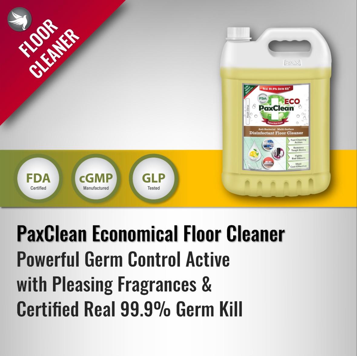 PaxClean Economical Disinfectant Floor & All Surface Cleaner - Image 4